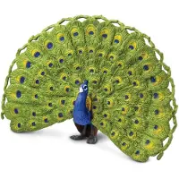 Safari Ltd. Peacock Figurine - Gedetailleerde 4 " Plastic Model Figuur - Leuk educatief speelgoed speelgoed voor jongens meisjes en kinderen lee