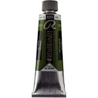 Rembrandt Olieverf Tube 150 ml Sapgroen 623 (01076232)