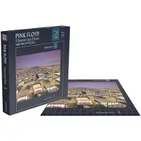 Pink floyd Een momentane denkfout (500 stukjes)