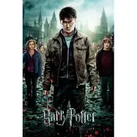 GB eye Harry Potter Relieken van de Dood 61 x 91,5 cm Maxi Poster