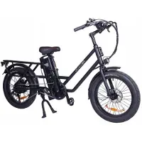 GOGOBEST Elektrisch voertuig - - GF200 - 500W - 80KM - 20 inch