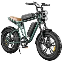 ENGWE M20 2*13Ah Batterijen 20*4.0 Inch Banden 750W Borstelloze Motor 45km/h Maximale Snelheid Voor- en Achter Schijfremmen