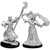 WizKids Pathfinder Dcum Menselijke Mannelijke Tovenaar