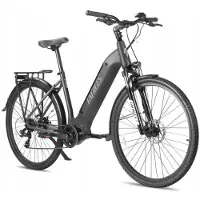 Fafrees Elektrische fiets - - FM9 - 250W - 36V - Actieradius 120 km - Banden 700C