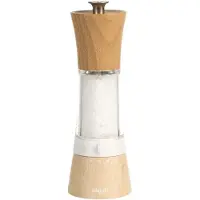 Bisetti Pisa Zoutmolen Hout-acrylic H18cm