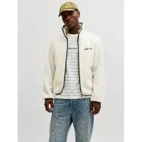 Jack & Jones Winterjas groen / wit