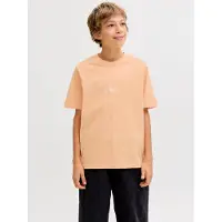 Jack & Jones Junior Shirt 'JJESoho' oranje