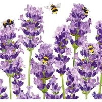 Ppd - Lunch servetten - Bees & Lavender