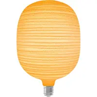 Calex Papyrus LED Lamp - E27 - G125 - Filament Lichtbron - Warm Wit Licht - 4W