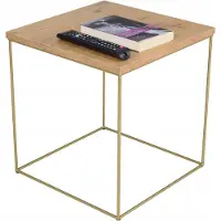 FutuStal Koffietafel, vierkant, van metaal, 40x40x43 cm, Loft Glamour, goudkleurig + eikenhout (Lancelot)