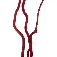 J-Line decoratie tak Droogbloemen - riet - rood - large - set van 3