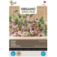 Buzzy - Seeds sprouting radijs china rose 30 gram