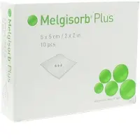Mesoft Melgisorb Plus Ster 5 x 5 Cm 4x10 St Compressen
