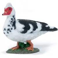 Papo - Barbary Duck Figuri