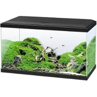 Ciano – Emotions Pro 60 L – Aquariumset – CF80 filter – LED & 50W