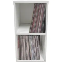 Vdd Vinyl lp platen opbergkast - opbergen lp vinyl platen - boekenkast - 2 vakken - wit