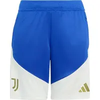 Adidas Juventus Trainingsbroekje 2026-2027 Kids Blauw Wit Goud