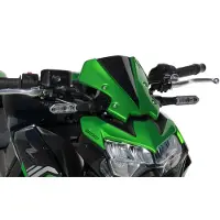 Bodystyle Koplampkuipwerk Z 900 20- ONGELAKT