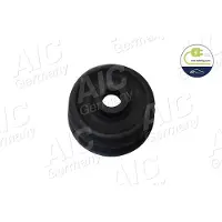 AIC 51856 Veerpootlager