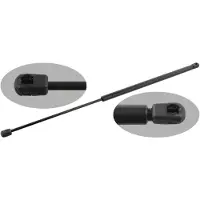 FEBI BILSTEIN 29895 Gasveer achterklep