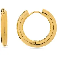 Luxenter Oorbellen 'Amyck' goud