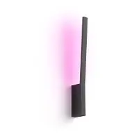 Philips Liane Hue wall black 12W 24V