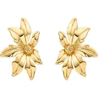 Luxenter Oorbellen 'Aucell' goud
