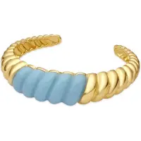 Luxenter Armband met 18-karaats geelgoud afwerking en blauwe hars - Rawil