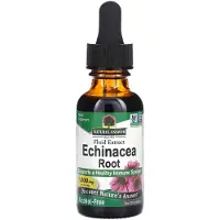 Natures Answer Echinacea extract alcoholvrij
