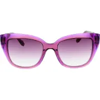Ana Hickmann Sunglasses AH9454 H02 53