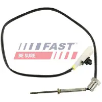 Fast Sports Nutrition FT80216 Sensor, uitlaatgastemperatuur