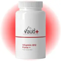 Vaud Vitamin B12 Forte - 1000mcg Methylcobalamine - Energie & Zenuwstelsel - Zuigtabletten 100 St