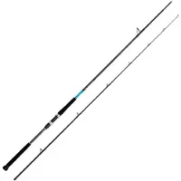 Shimano Fishing Bassterra Xt Shore Jigging Rod Zilver 3.04 m / 30-100 g