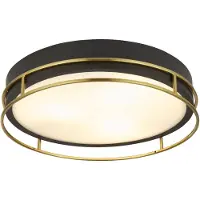Searchlight Plafondlamp Phoenix, dimbaar, zwart, Woon-/ Eetkamer, metaal, Plafondlamp badkamer