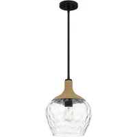 QUOIZEL LED Hanglamp Royer | 1X E27 Max 60W | Matte Black with natural rope detail and clear mot