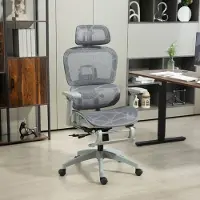 OKWISH Ergonomische Bureaustoel - Verstelbare Hoofdsteun, Lendensteun En Voetensteun - Thuis En Kantoor - Polyester - Grijs