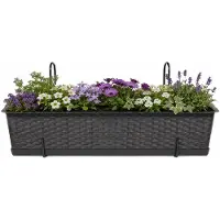 Prosperplast plantenbak Buster - donkerbruin - rechthoek - met twee ophangbeugels - 70 x 17 x 15 cm - kunststof - bloembakken - potten