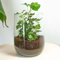 Urbanjngl Vaas Martin - DIY kit - ↑ 17 cm