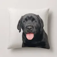 Unique living - 3 stuks - kussenhoes - sierkussenhoes - wit - zwart - 45 x 45 cm - rits - fluweel - hond - Labrador pup