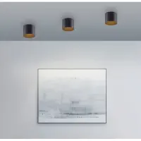 Paul Neuhaus Plafond opbouwspot Pure Point Ø 11cm - black pearl