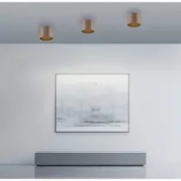 Paul Neuhaus Plafond opbouwspot Pure Point Ø 11cm - bronce