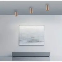 Paul Neuhaus Plafond opbouwspot Pure Point Ø 6cm - bronce