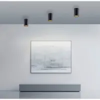 Paul Neuhaus Plafond opbouwspot Pure Point Ø 6cm - black pearl