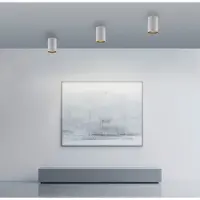 Paul Neuhaus Plafond opbouwspot Pure Point Ø 6cm - wit
