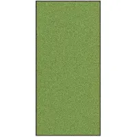 vidaXL Deurmat Groen en Zwart 120 x 250 cm 100% Polyamide