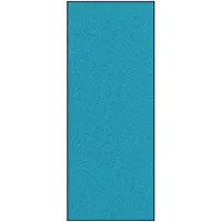 vidaXL Deurmat Cyaan en Zwart 120 x 300 cm 100% Polyamide