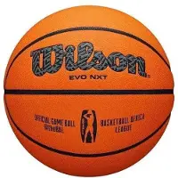 Wilson EVO NXT FIBA Game Ball