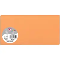 Clairefontaine Stuifmeel van Card DL, clementine