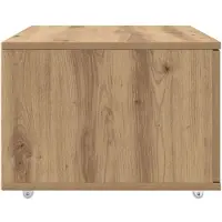 vidaXL Ladekast 55 x 45 x 31 cm Artisan Eiken
