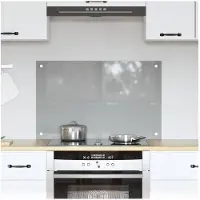 vidaXL Keukenachterwand Lichtgrijs 80 x 50 cm gehard glas